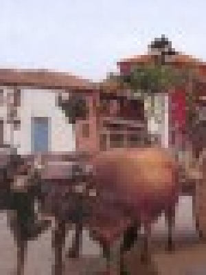 Feria de San Martín