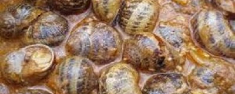 Festividad de San Andrés