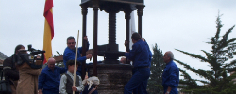 Fiesta de la Aceituna