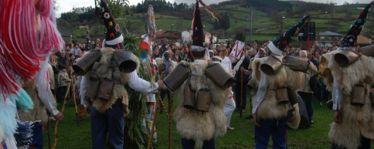 Fiestas de La Vijanera 2014