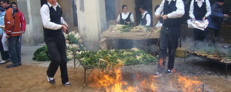 Fiesta de la calçotada 2014