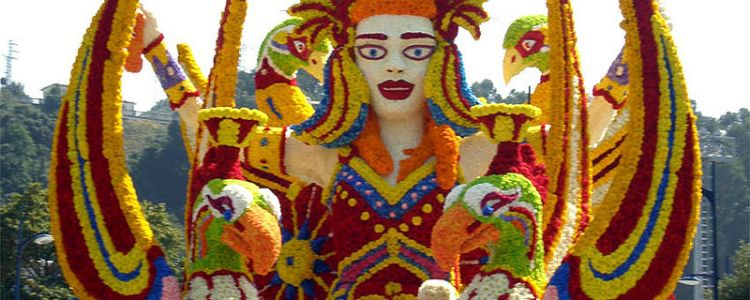 Fiesta del Coso Blanco