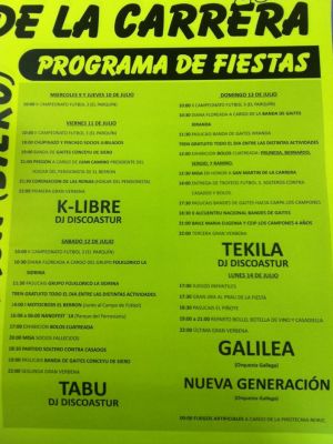 Fiestas de San Martín de La Carrera 2014