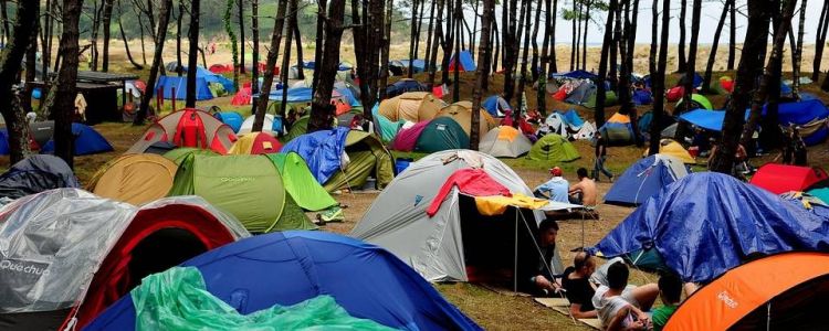 Festival de Ortigueira 2014