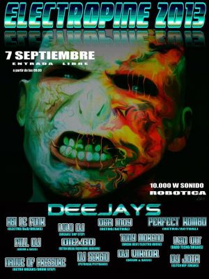 Festival Electropine 2013