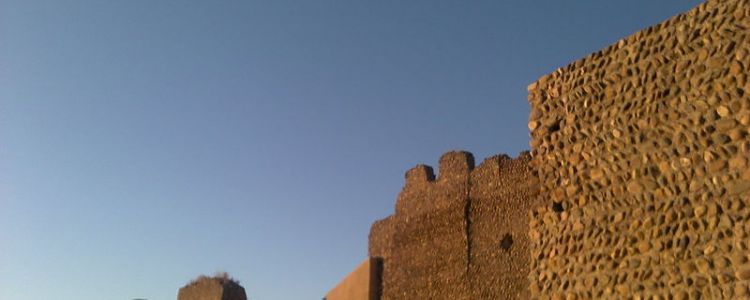 Mansilla de las Mulas